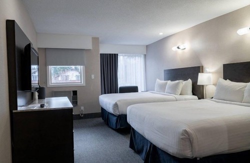 Banff Hotel | Newly Renovated Room in Banff! Air-Conditioning