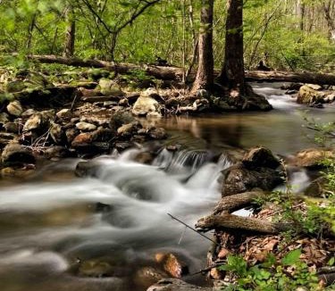 Almont House | Oasis in the Blue Ridge on Rt 151 Brew Ridge Trail
