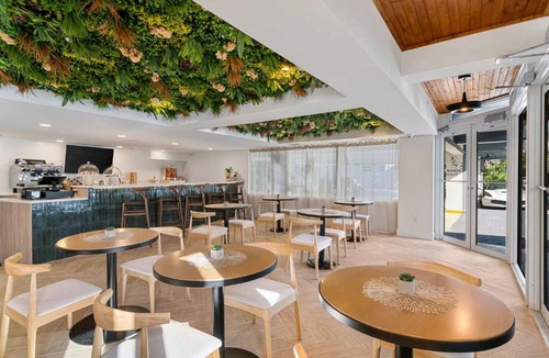 Galt Mile Hotel | Ocean Blvd King Suite Hideaway