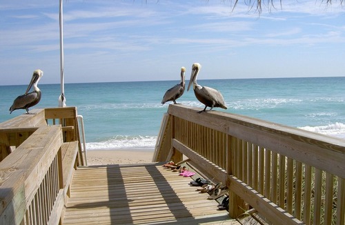 Hutchinson Island South Condo | Ocean Front Condo on Hutchinson Island with Fantastic Beach Views and Access