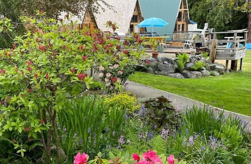 Powell River Cabin | Ocean view cabins at the laughing oyster restaurant