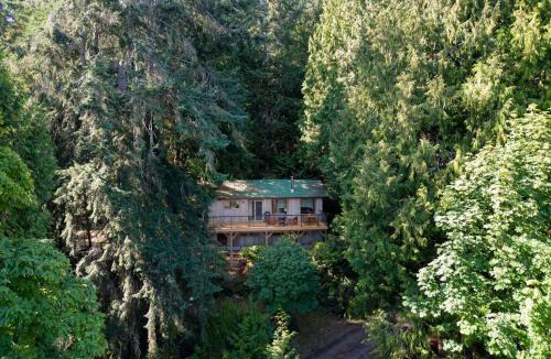 Salt Spring Island House | Ocean Vista In the Woods on Saltspring Island