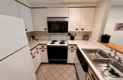 Lincoln Apartment | One Bedroom Apartment with Two Bathrooms and Pool at Rivergreen Resort