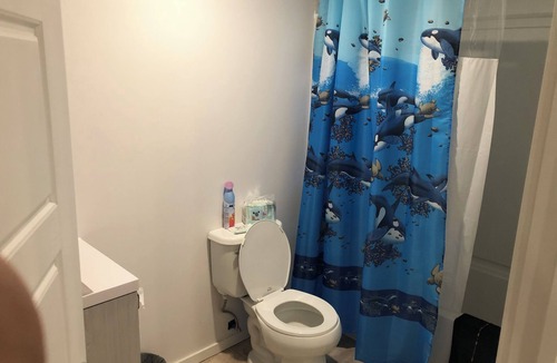 Regina House | One Bedroom Basement For Stay