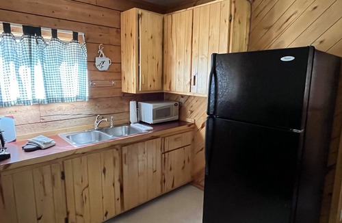 Almont Cabin | One Bedroom Cabin with Ample Parking and Space from Neighboring Cabins