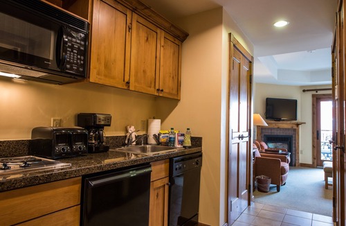 Mount Crested Butte Cabin | Open-Concept Suite | Fireplace | Near the Slopes