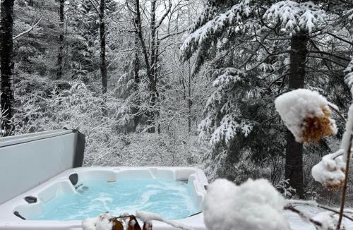 Carroll Villa | OR Luxury yurt-like home in Bretton Woods with private beach firepit AC fishing and trails