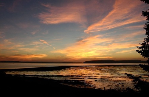 Jonesport Cabin | Pretty oceanfront cottage!! Roque Island views across the Bay.
