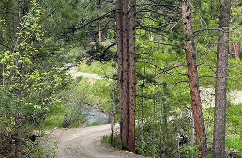 Morrison House | Private Mountain Escape 15min to Red Rocks + Denver