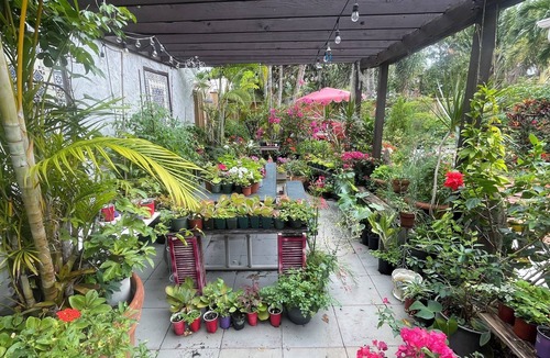 Old Northwood Cottage | Quaint 2-bedroom cottage in the Historic Northwood District of West Palm Beach