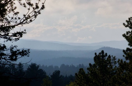 Red Feather Lakes House | Quiet Home on Large Ranch Surrounded by National Forest