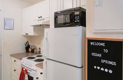 Harrison Hot Springs Condo | Renovated Cedar Springs Studio!