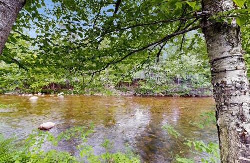 Lincoln Apartment | Riverbank Motel and Cabins Managed by First Chair Destinations