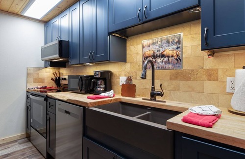 Fall River Estates Condo | Riverfront Retreat Fireplace Close to RMNP