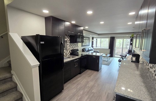 Basalt Condo | Riverview Retreat: Modern Condo overlooking the Roaring Fork