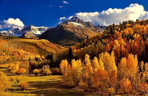 Lake City Cabin | Rustic Camping Cabin Perfect for Families near Silverton, Colorado
