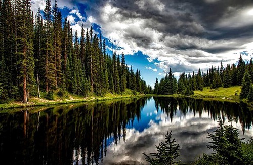 Lake City Cabin | Rustic Camping Cabin Perfect for Families near Silverton, Colorado