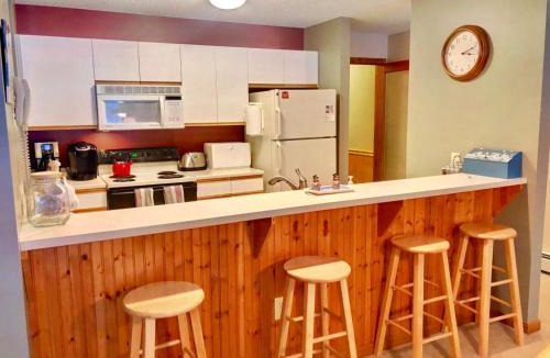 Carroll Apartment | S3 AWESOME VIEW OF MOUNT WASHINGTON! Family getaway in Bretton Woods