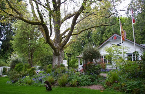 Sooke House | Scarlet Oak: Ground level suite in a heritage country home and garden.