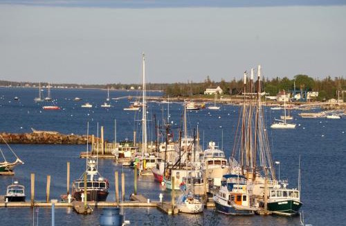 Lamoine House | Secluded Bungalow Near Acadia and Bar Harbor -Private- Pet Friendly
