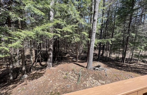 Bartlett Condo | Single family home in the White Mountains -sleeps 8 people.