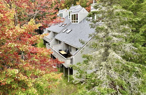Carroll Condo | SKI IN - SKI OUT- 5 Bedrooms - 1 gig wifi, Mountain View’s