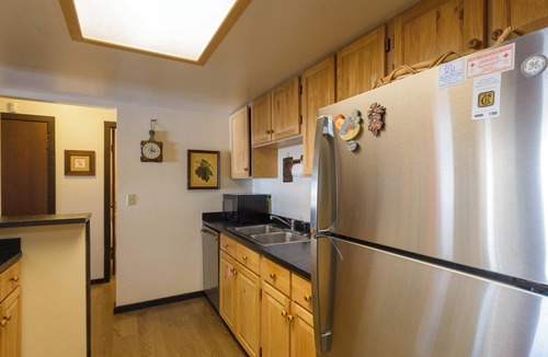Mount Crested Butte Condo | Ski-In/Ski-Out! End Unit Condo w/Majestic Views & Free Shuttle