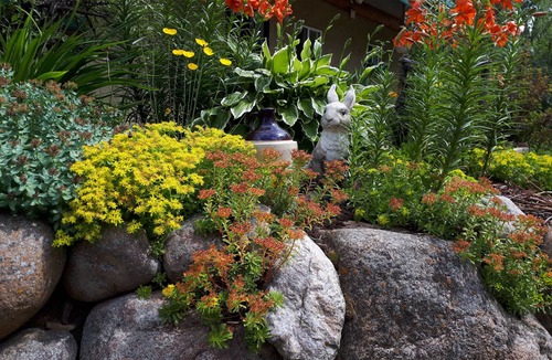 Northeast Edmonton Cottage | Stargaze in the forest. Enchanting Straw Bale Cottage nestled in nature.