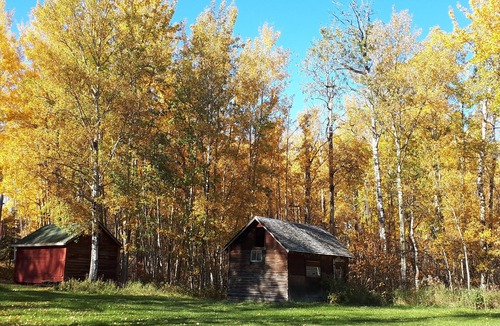 Northeast Edmonton Cottage | Stargaze in the forest. Enchanting Straw Bale Cottage nestled in nature.