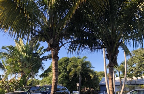 Delray Beach Cottage | Swinton Cottage by Delray Beach w/free parking Unit A