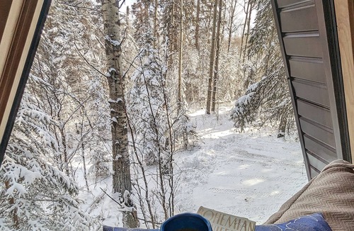 Winfield Cabin | The Fern A-frame Cabin