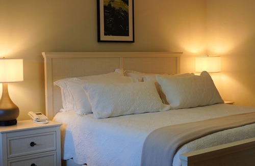 Southside Hotel | The Palm Rose
