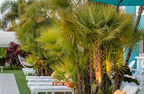 Northeast Miami Hotel | The Vagabond Hotel Miami