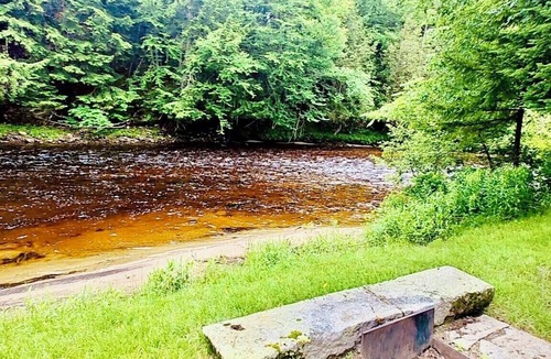 Bloomfield House | The wander-in Camper River Front, 1BR, Firepit