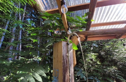 Juan de Fuca Electoral Area Cabin | Trailhead Guesthaus and Sauna on the Creek