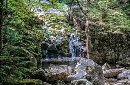 Chatham Other | Treehouse-Style Tent Rental in the White Mountain National Forest of New Hampshire