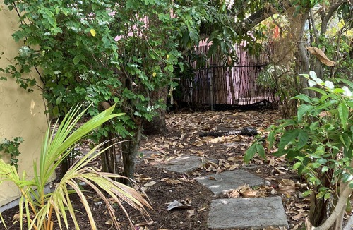 West Palm Beach Cottage | 🌴Tropical Cottage, In The Lovely Palm Beach Historic District LOCATION!