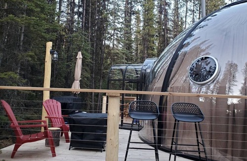 Rock Lake RV Rental | Unique Clear Dome Surrounded by Trees for a Memorable Glamping Experience in Rock Lake Provincial Park, Alberta