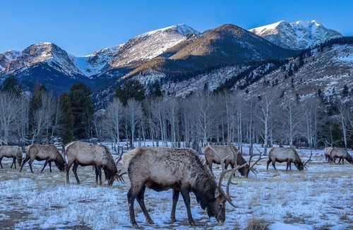 Estes Park Cottage | Unwind in our charming cottage, perfect for a romantic getaway or solo retreat.