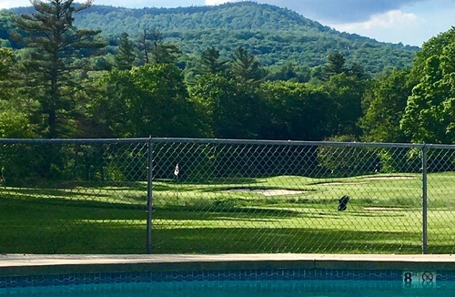 Bartlett Condo | Updated Golf Course Condo Across from Story Land with Pool & Views of Attitash