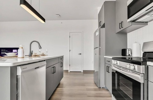 University Circle Apartment | Vibrant & Sunny 2BR | Cleveland Clinic