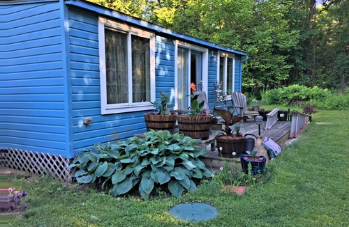 Malletts Bay Cottage | Walk Softly, There’s a Dream Here!