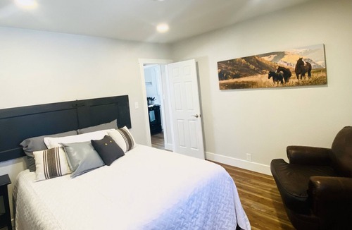 Laramie Cottage | Walk to campus! Fully remodeled Historic Railroad House sleeps 7