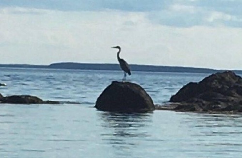 North Haven House | Waterfront Secluded Maine Island Cottage