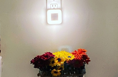 Palm Beach Apartment | Welcome to the Palm Beaches - Condo with Palm Beach Parking Pass