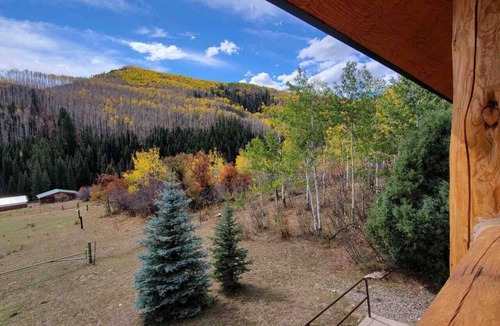 Somerset Cabin | Wilderness Cabin In Colorado Mountains