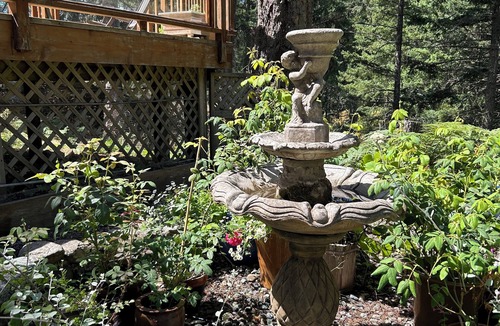 Salt Spring Island Cottage | woodland escape