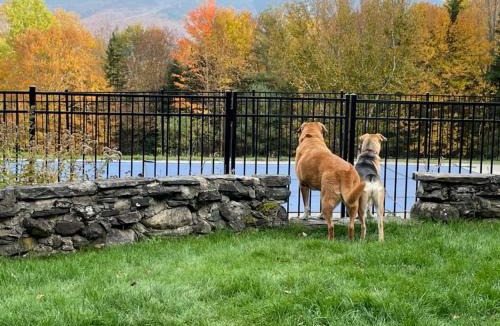 Franconia House | WOW New Spectacular Franconia Home - history - views - fire pit - hot tub - pool - grandeur - MUST SEE