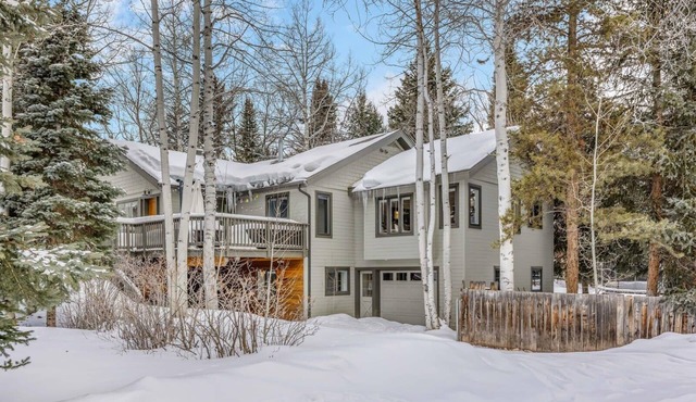 5 BR Updated Aspen Home - Stunning Views
