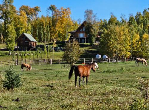 7 Tails Guest Ranch